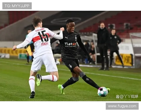 德甲斯图加特主场