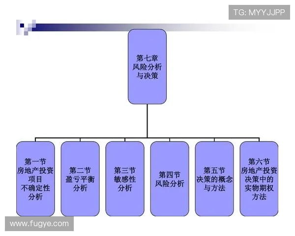 拉菲尼亚与安东尼：进攻效率及决策能力对比分析