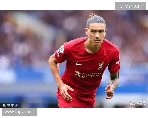 努涅斯转会费是否存在溢价分析